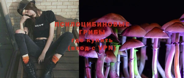 тгк Ветлуга