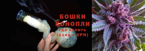 винт Пересвет