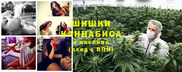 прущие грибы Пестово