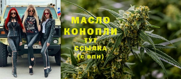 тгк Осташков