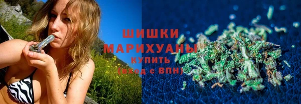 прущие грибы Пестово