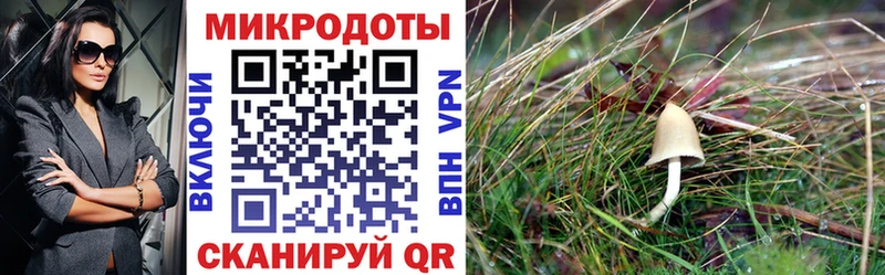 Галлюциногенные грибы GOLDEN TEACHER  Артёмовский 